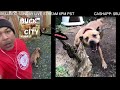 Buck city kennels  the return  like  subscribe for the pierce county vs bck series