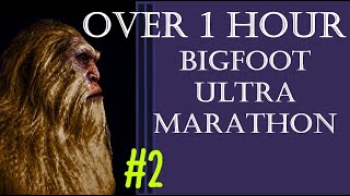 Bigfoot Ultra Marathon #2
