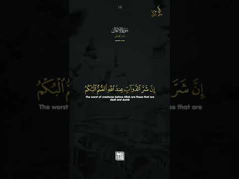 ولا تكونوا كالذين قالو سمعنا وهم لا يسمعون بصوت ماهر المعيقلي