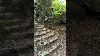 Los Jardines, laberinto Natural - Parque de Cabarceno (Cantabria-España)