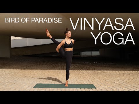 Vinyasa Yoga Flow | zu Bird of Paradise | kraftvolle 45 Min für die Mittelstufe & Fortgeschrittene