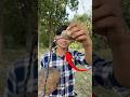 Diwali Crackers ( Part 3 ) #shorts
