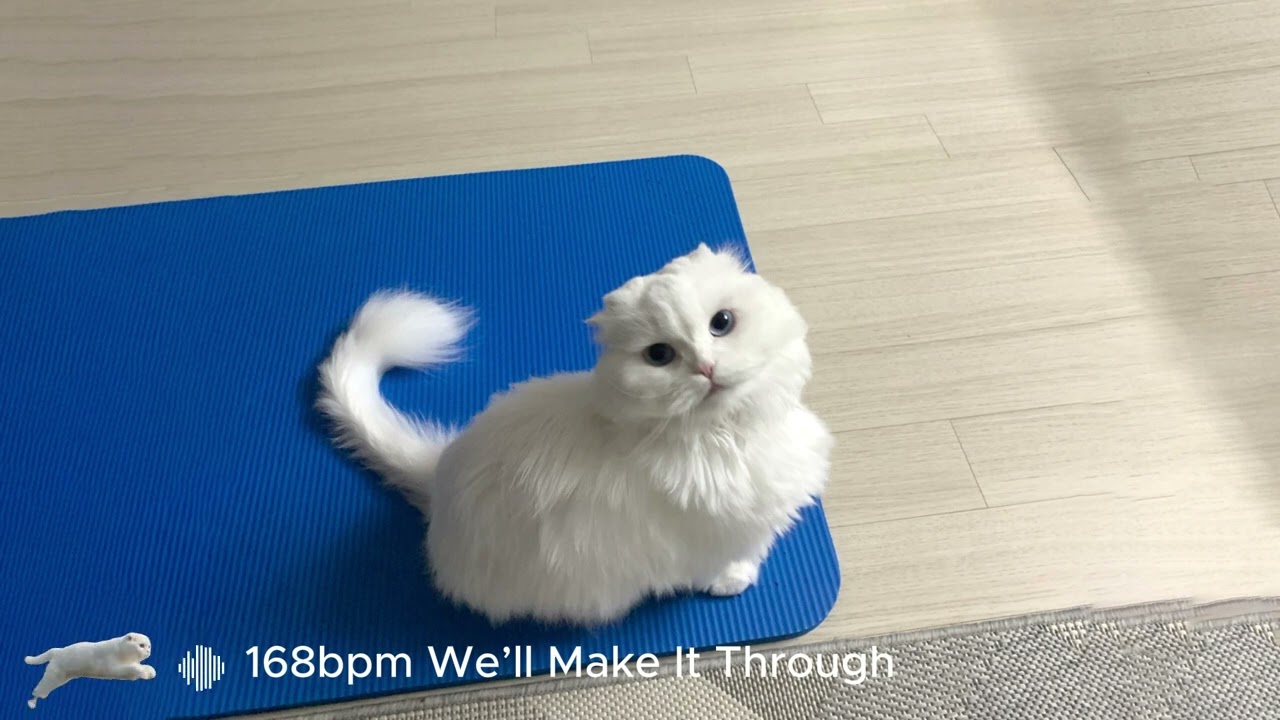 168BPM We’ll Make It Through (Remix)