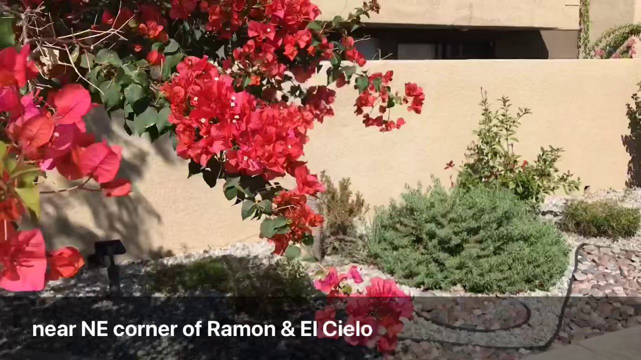 481 E Bradshaw Lane, Pueblo Sands, Palm Springs. 219,000. YouTube