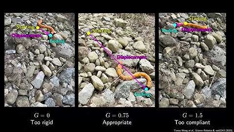 Mechanical Intelligence -- Supplementary Movie S8