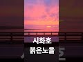 시화호 노을속으로 🚗 드라이브