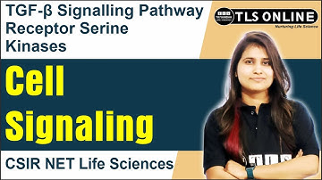 TGF-β Signalling Pathway Receptor Serine Kinases | Cell Signaling | CSIR NET Life Sciences |