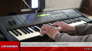Leid Ons, O Gij Goede Meester (Cwm Rhondda) | Organist Bujor Florin Lucian speelt op Solton MS50