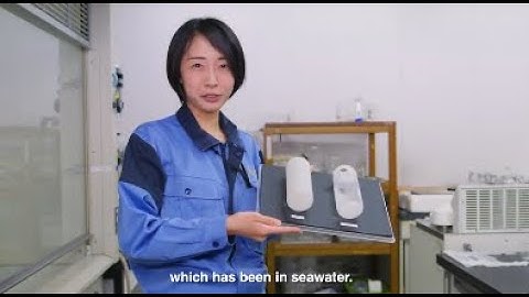 Japan’s Plastic Litter Solution