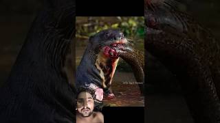 udbilav Khatarnak janwar#viral #trending #explorepage #foryou #fyp #reelsviral #youtubeshorts