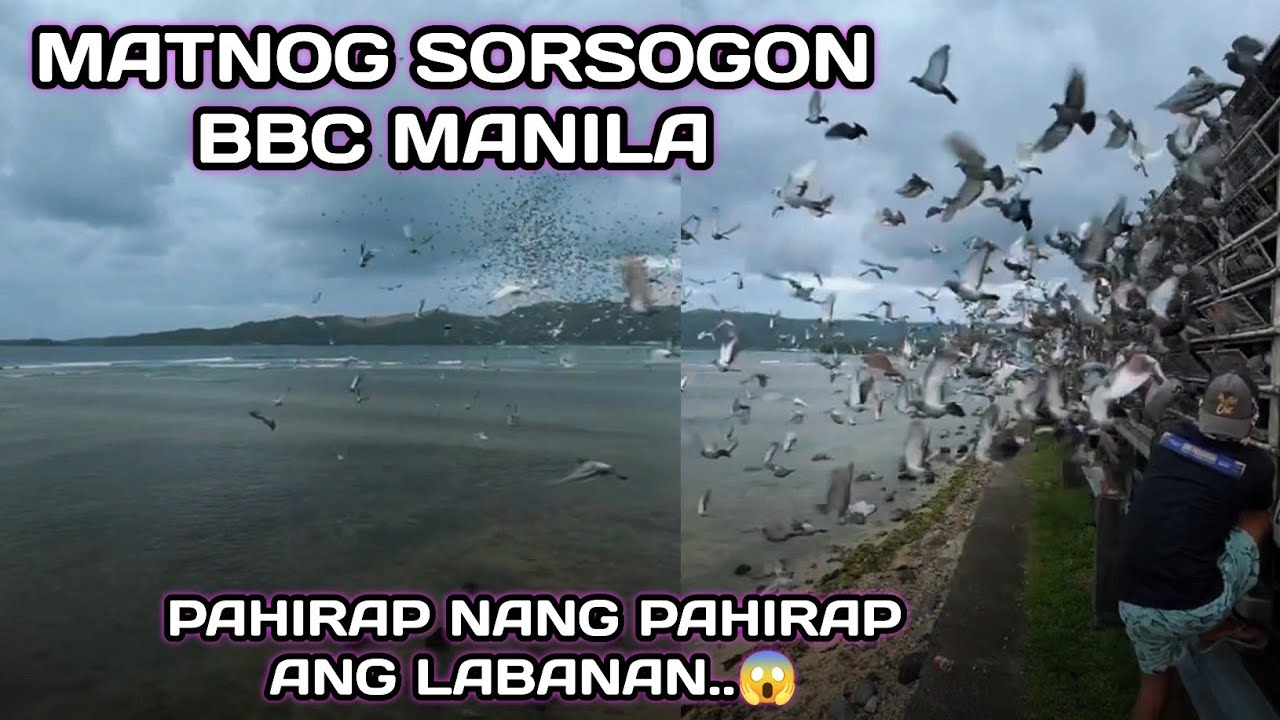MATNOG SORSOGON LAP.. BBC MANILA PAHIRAP NANG PAHIRAP ANG LABANAN..😱
