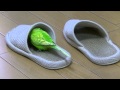おしゃべりインコのピッピはスリッパが大好き！Bird Love Slippers#3
