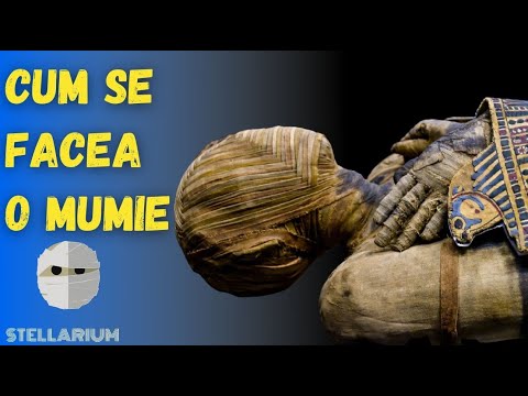 Video: De ce au fost mumificate animalele?