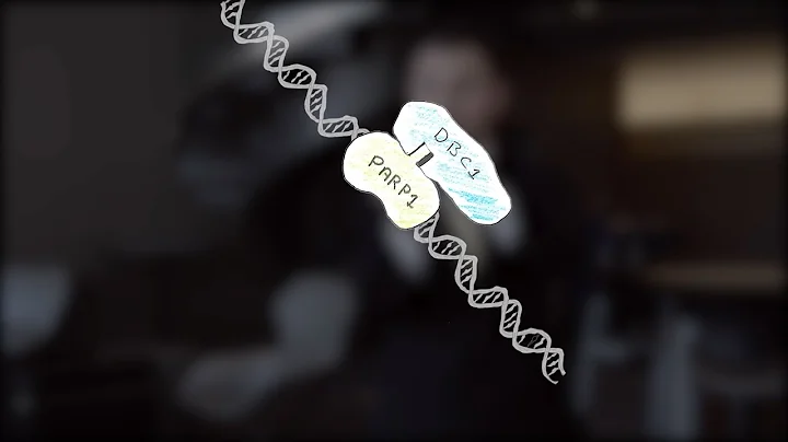 Unraveling the mysteries of aging