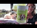 ✨ Dog Teeth Cleaning Wipes Review | Easy Fresh Breath & Tartar Removal for Pets!