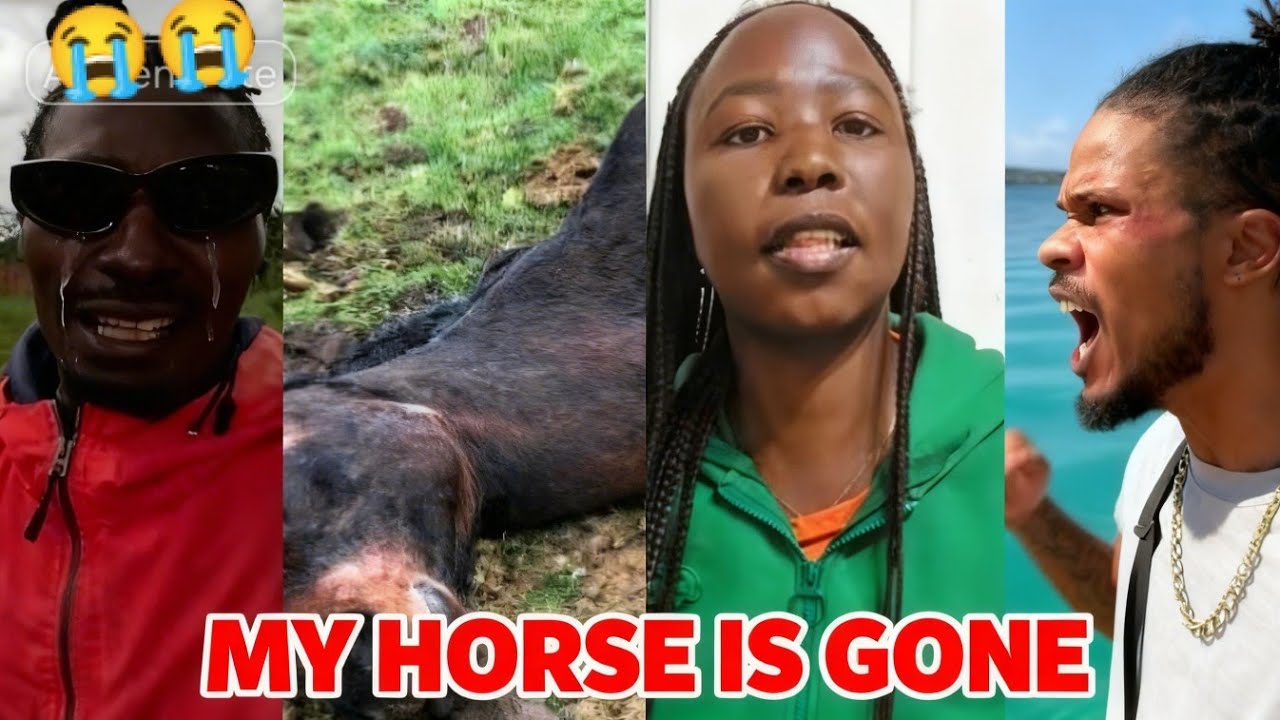 Triple Loss for Iammarwa — Dee Mwango Sets Fire on Jamaican Friendships😱😱💥