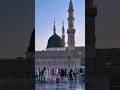 আমার মনে মদিনা অলা #feedshorts #ahammad #islamicfestival #shortvideo #madina