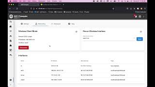 pineapple setup screenshot 4