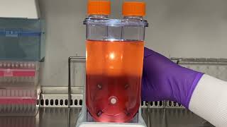 Sampling In Pbs Mini