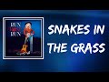 Dolly Parton Snakes In The Grass Lyrics mp3