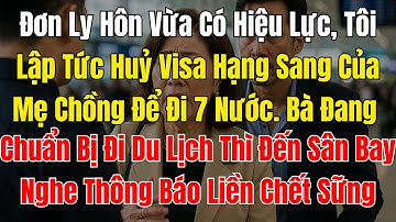 Đơn Ly Hôn Vừa Có Hiệu Lực, Tôi Lập Tức Huỷ Visa Hạng Sang Của Mẹ Chồng Để Đi 7 Nước. Bà Đang Chuẩn