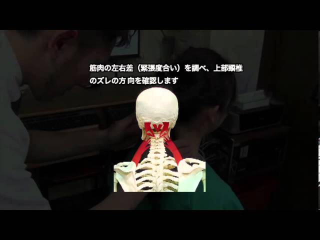 ケール スキャナー 2000 上部頸椎カイロプラクティック ケール