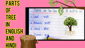 Parts of tree in English and Hindi/ names of parts of trees