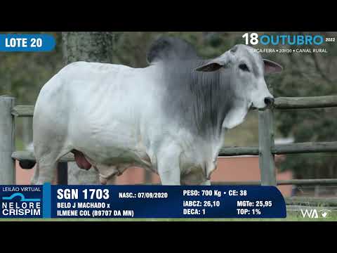 LOTE 20 SGN 1703