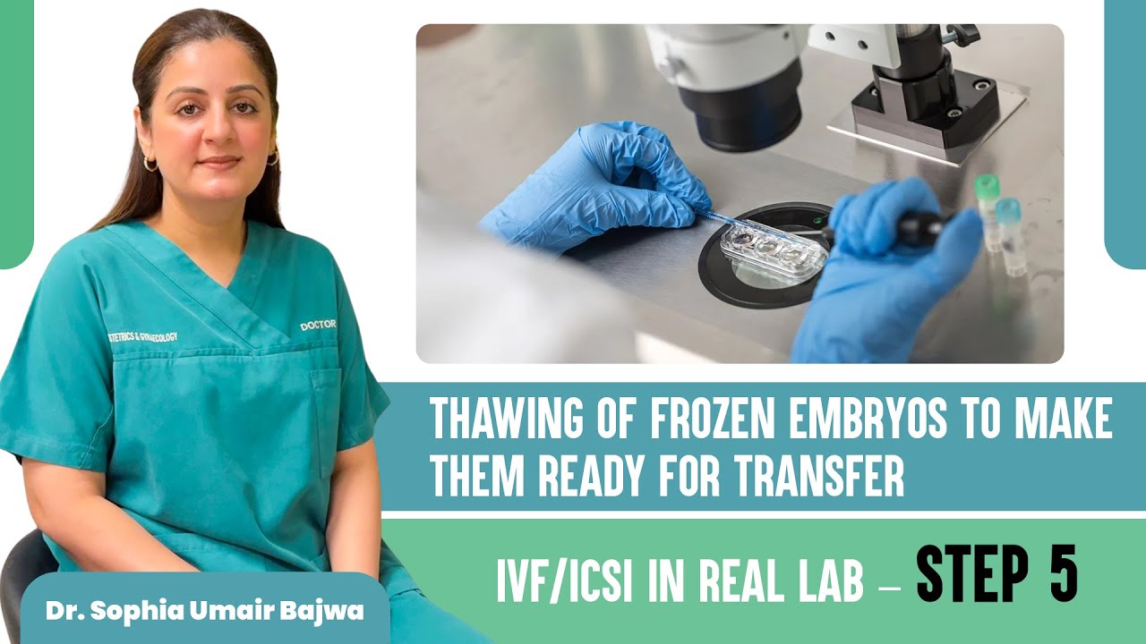 Step 5 of IVF/ICSI: How Embryos Are Thawed & Made Ready for Pregnancy