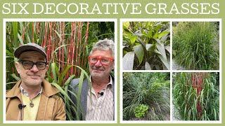 Six fabulous decorative grasses for the garden...plus one that isn't a grass!