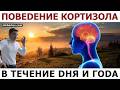 Как свет Солнца регулирует кортизол, циркадный ритм. Зимняя депрессия и сезонность уровня кортизола.