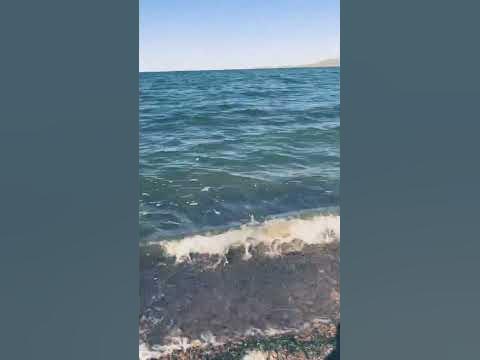 Усны чимээ - YouTube