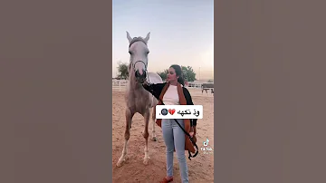 رهف القحطاني اكسبلور وذ نكهه رهف نجران يفوز المقطع نجران الان اشتراك بالقناة ترند المشاهير 