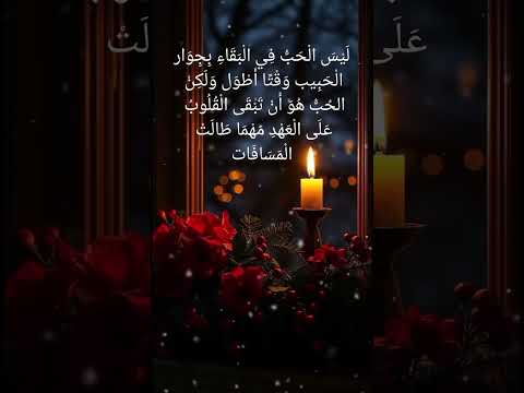 الحب هو فعل إرادي ينمو ويتطور عبر الوقت وليس مجرد عاطفة عابرة أو انجذاب سطحي