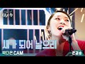 [준결승_직캠] '박다은 - 새가 되어 날으리'  [우리가 사랑한 그 노래, 새가수] | KBS 210911 방송