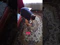 Ремонт. Часть 1