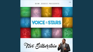 Video thumbnail of "Tzvi Silberstein - Bris (feat. Michoel Schnitzler)"
