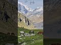 #mountains #shorts #music #usa #travel #travelshorts