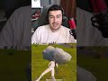 TEK BİR EVİ LOOTLAMAK (sadece 1 mermi)
