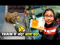 Monkey in our coach onboard 20805 andhra pradesh express vlog  vizag to new delhi train journey