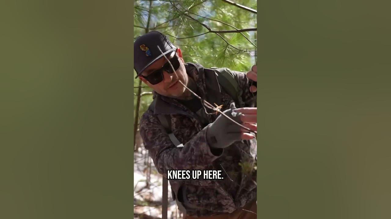 what-buck-rubs-can-tell-you-about-how-big-a-buck-is-youtube
