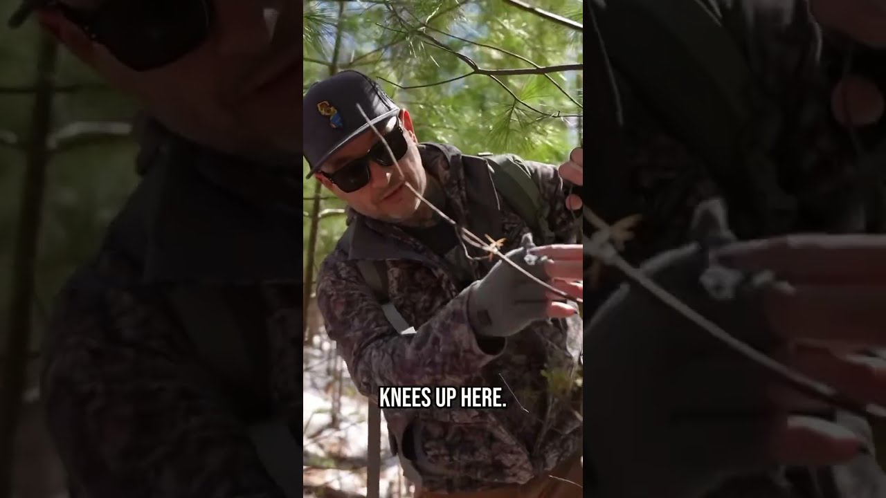 What Buck Rubs Can Tell You About How Big A Buck Is YouTube What Buck Rubs Can Tell You About How Big A Buck Is YouTube