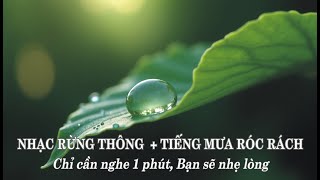 Chỉ Cần Nghe 1 Phút – Bạn Sẽ Quên Hết Lo Âu | Nhạc Rừng Thông + Mưa Róc Rách