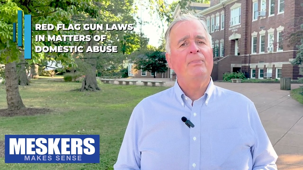 MESKERS  RED FLAG GUN LAWS