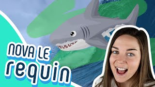 LES AMIS MARINS | Nova, le petit grand requin blanc