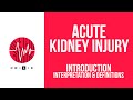 Introduction to Acute Kidney Injury: interpretation & definitions