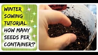 Winter Sowing Peppers Tutorial - How Many Pepper Seeds To Add to My Jugs? Growing Pepper Seedlings
Watch as I sow my sweet pepper seeds in Winter Sowing containers and get a feel of how many seeds to add to YOUR Winter Sowing milk or juice jugs. Today I show you how I plant my sweet red pepper seeds and I also put in tomatoes, cucumbers and squash the very same way. #peppers #wintersowing #vegetablegardening
❤️ To learn all about how to grow veggies, herbs and fruit seedlings in the cold and snow, join my Veggie Winter Sowing group: http://www.facebook.com/groups/Winter...
Come join the family. Its free!
RESOURCES *:
Excellent Package / Plastic / Tape cutters mentioned in the video
http://amzn.to/1pbbph1
SHARE this video:
WATCH More Popular Episodes Below!
► Mind-Blowing Mini-Greenhouse Reveal! 1st Winter Sowing Results for 2015
http://tinyurl.com/nd7lkch
► Secret to Making Leafy Greens, Lettuce Last 5-10x LONGER, Stay Crisper!
http://tinyurl.com/qhucn6n
► Seed Saving Overview - Glimpse Into My Vegetable, Herb, Fruit Seed Saving Magic
http://tinyurl.com/qaakltt
► Sugar Snap Pea Bandits BAMBOOZLED! Are Your Sugar Snap Pea Seedlings Being Wiped Out By Critters?
http://tinyurl.com/puavnqx
► 3 Big Seedling Reveals - Watermelon, Butternut Squash, Zucchini Grown in Mini Greenhouses
http://tinyurl.com/o64luyr
► Unique Way To Grow Sweet Red Bell Peppers - Check Out My Pepper Patch!
http://tinyurl.com/ppqotrl
RESOURCES:
Enjoying My Videos? Feel Free to SUBSCRIBE for More Free Awesomeness on How-To Organic Gardening, Winter Sowing, Juicing and Healthy Food Prep:
http://www.youtube.com/user/JuicingGa...
LEARN ABOUT THE AMAZING WINTER SOWING METHOD!: Grow your own gorgeous organic vegetable, herb and fruit seedlings outside in your back yard or patio in the SNOW or COLD WEATHER from seeds in little FREE recycled containers (mini-greenhouses) like milk jugs, lettuce containers and pop bottles!
http://tinyurl.com/mfyw5n4
Why Winter Sow?
13 Amazing Benefits of Winter Sowing to Grow (Almost) F-R-E-E Food For Your Family
http://tinyurl.com/qdx6o7p
(WATCH VIDEO) Winter Sowing - 2nd Big Reveal! Growing Vegetable Seedlings from Seeds in the Snow
http://tinyurl.com/n8l9z9u
(WATCH MY WINTER SOWING VIDEOS)
► My Winter Sowing Playlist: Winter Sowing | Growing Vegetable, Herb & Fruit Seedlings in the Snow or Cold Weather!
http://tinyurl.com/ow4tp9r
If you LIKE this video, I appreciate you giving it a THUMBS UP and
If you LOVE this video, please SHARE IT with your friends!
If youre new to my channel, go ahead and click SUBSCRIBE! :)
Find me on these other websites too. Lets Connect!
♥ WEBSITE:
http://www.JuicingGardener.com - join me here for free organic gardening, healthy food prep and juicing newsletter!
♥ FACEBOOK:
http://www.facebook.com/JuicingGarden...
♥ PINTEREST: Pin me!
http://www.pinterest.com/SherylMannDC
♥ TWITTER:
http://www.twitter.com/JuicingGardener
♥ GOOGLE+:
google.com/+JuicingGardener
♥ YOUTUBE:
http://www.youtube.com/JuicingGardener
JUICINGGARDENER ULTIMATE SHERYL PLAYLIST:
http://www.youtube.com/playlist?list=...
Peas and Luv,
Sheryl
JuicingGardener
*Note: I may earn a small commission if you use the links under this video or in my blog to purchase the products mentioned. You will never pay a penny more by using my Amazon store links or any link I share. I only recommend products I would use or that I have used. Your purchase helps support this channel, my video creation, my gardening group and my blog, as well as supporting my ongoing research. Winter Sowing Peppers Tutorial - How Many Pepper Seeds To Add to My Jugs? Growing Pepper Seedlings