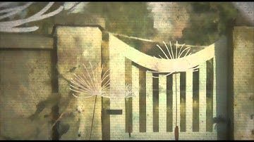 Dandelion Dreams