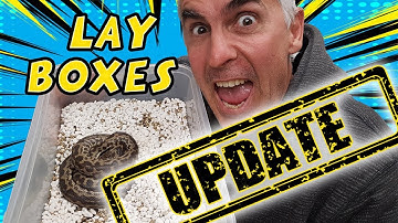 LAYBOXES UPDATE - CrittaCam