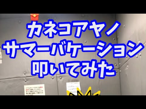 カネコアヤノ/サマーバケーション　叩いてみたよ